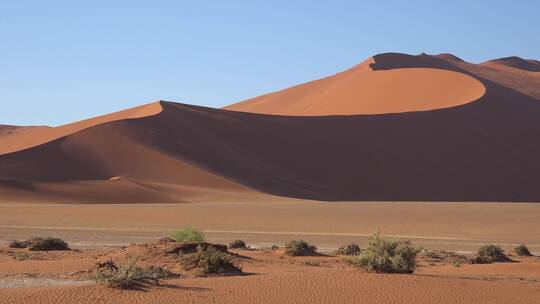 沙漠中的沙丘视频素材模板下载