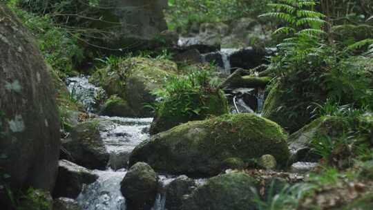 山间小溪流山泉水视频素材模板下载