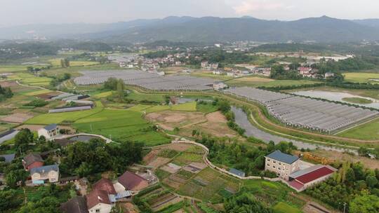 航拍现代农业大棚种植基地