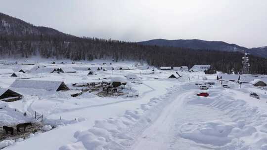 航拍新疆禾木雪景森林雪地小木屋禾木桥雪山