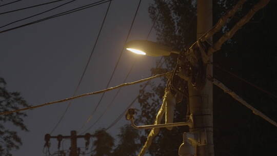 夜晚街道路灯 小区路灯