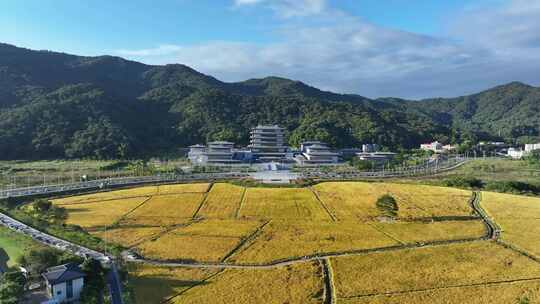 中国广东省广州市从化区广州国家版本馆