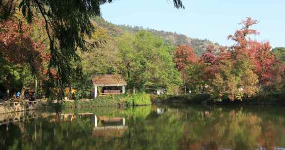 秋天阳光湖水秋叶美丽苏州天平山秋景