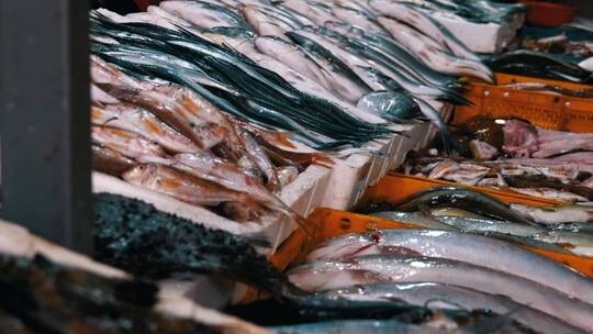 市场上的鲜鱼商品视频素材模板下载