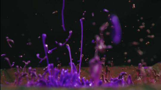 紫色液体落下溅出水滴