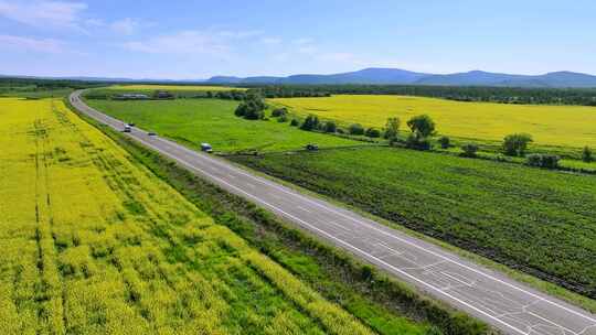 油菜花海中的公路