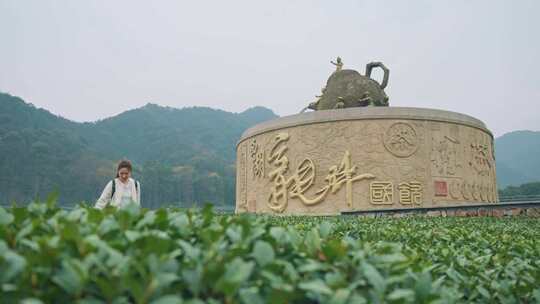 实拍视频 西湖龙井国饮茶壶雕塑