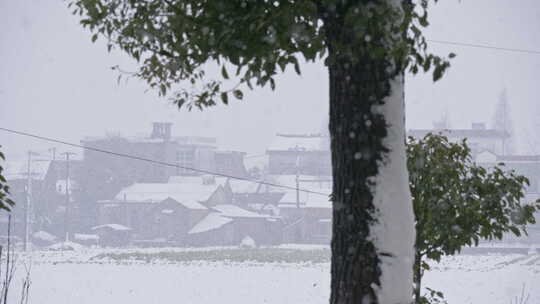 农村冬天下大雪远处房屋积雪