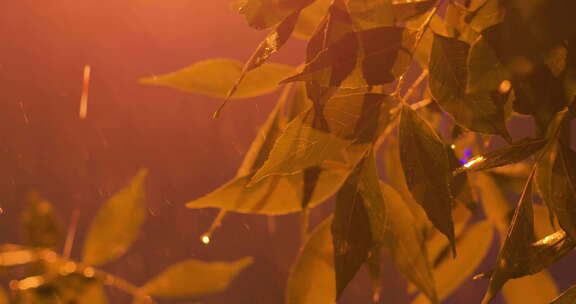 夜晚下雨雨景