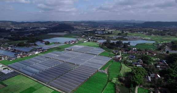 4K高清实拍蔬菜基地大棚农村乡村振兴