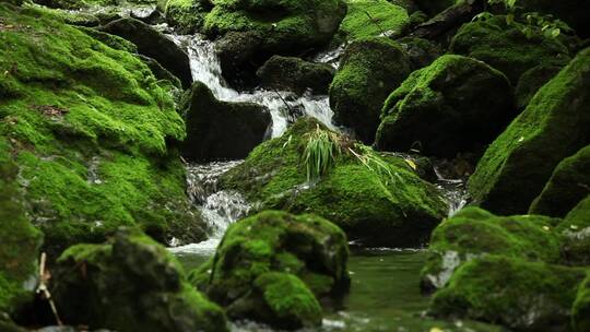 绿石青苔小溪流水