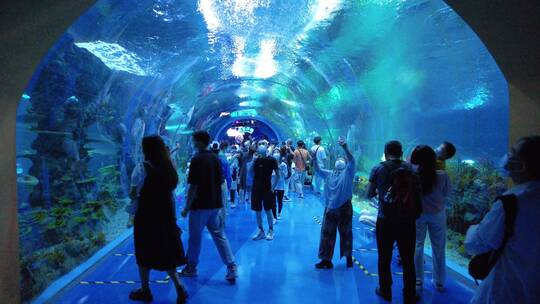 上海海昌海洋公园动物海洋馆游乐园4K素材视频素材模板下载