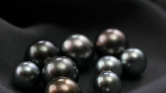 美丽名贵的黑珍珠视频素材模板下载