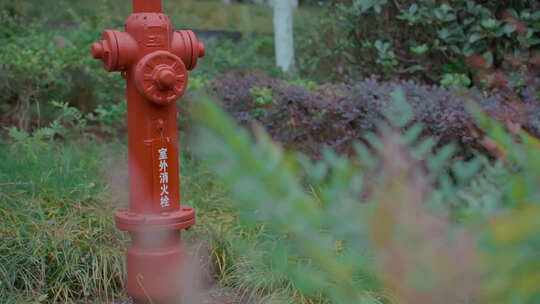 公园草地上的室外消防栓
