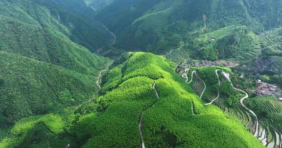 森林山路车流开车绿色出行新能源车航拍