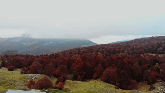 秋天群山满山红叶
