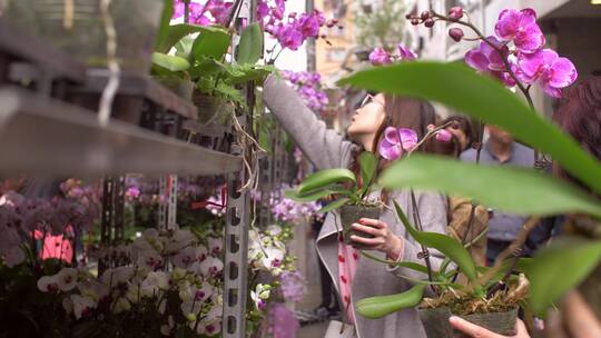在花市挑选兰花的女人视频素材模板下载