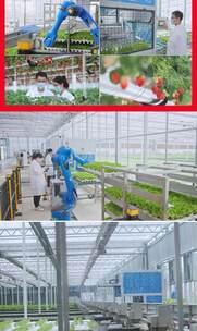 智慧数字化农业温室大棚高清在线视频素材下载