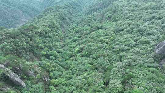 大气山峰森林航拍山川云海山脉壮丽山河风光