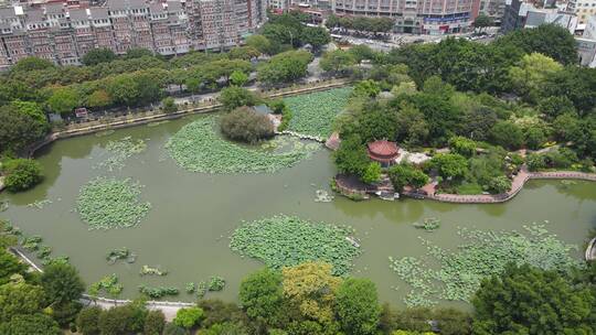 福建泉州西湖公园航拍