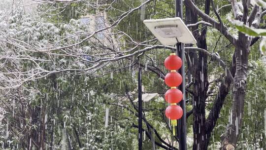 下雪天公园路旁挂红灯笼的路灯