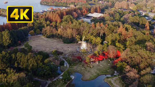 4K杭州西湖太子湾公园油画质感绝美秋景