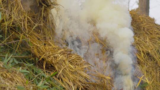 稻草秸秆焚烧烟雾缭绕污染环境