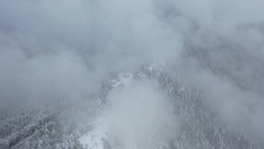 航拍湖北神农架风景区冬季雪山冰雪风光雪景