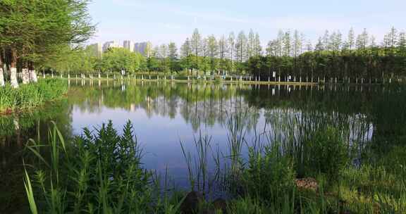 春天溧阳燕山公园美丽湖水绿色森林城市绿化