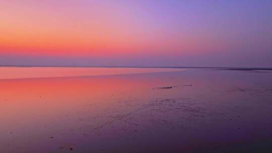 夕阳下浅滩上的鸟类群像