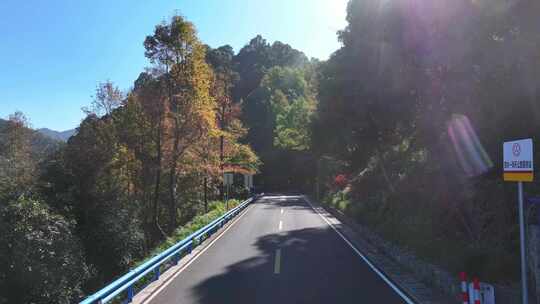 四明山 盘山公路 秋色 秋天 余姚