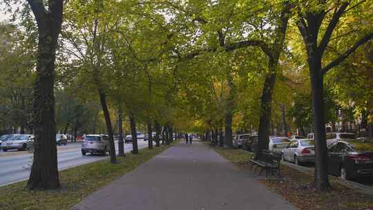 Avenue，布鲁克林， Ny，美国