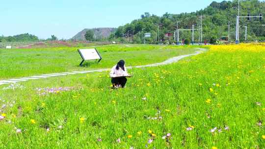 女子花海中写生