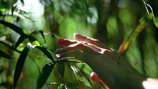 树林中女孩伸手抚摸树叶唯美视频素材
