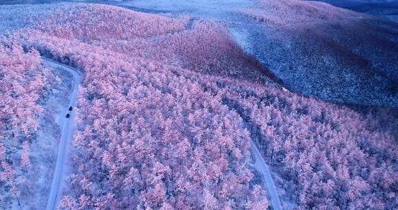 内蒙古大兴安岭冰雪雾凇 童话世界