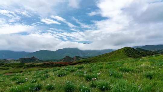 草原延时 草原 自然风光 生态