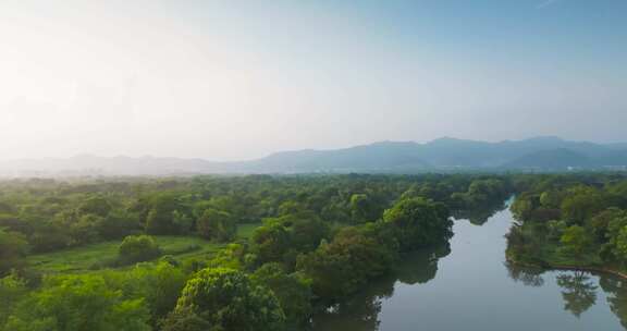 杭州西溪湿地公园夏天风光航拍