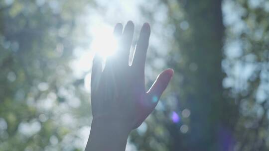 触摸阳光 阳光穿过指缝 阳光树叶手抓太阳