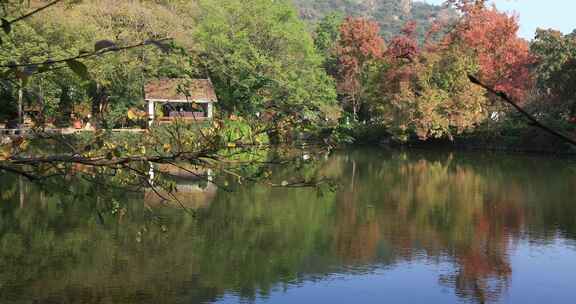 秋天阳光湖水秋叶美丽苏州天平山秋景