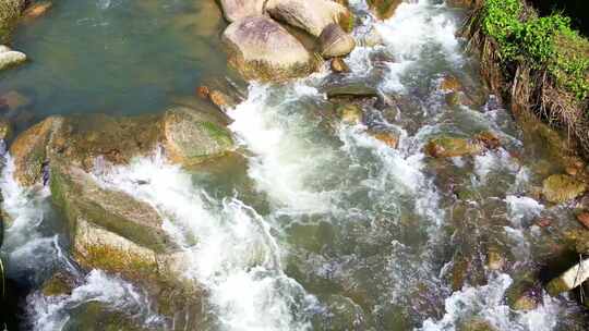 海南热带雨林森林溪流溪水泉水流动慢动作