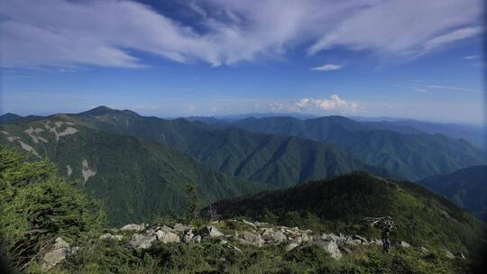 宣传片大气绿色和谐秦岭森林延时摄影实拍