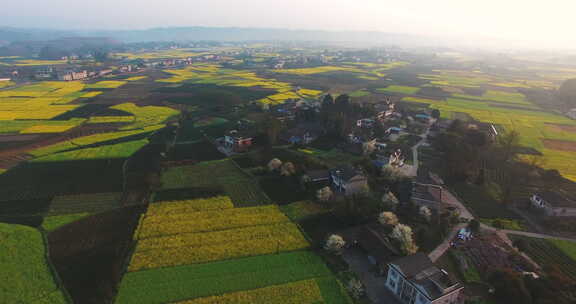 航拍四川农村春天的油菜花地