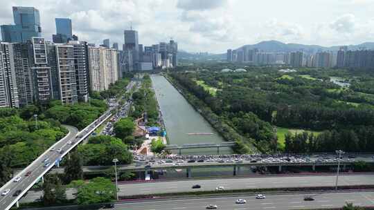 深圳大沙河端午节龙舟比赛