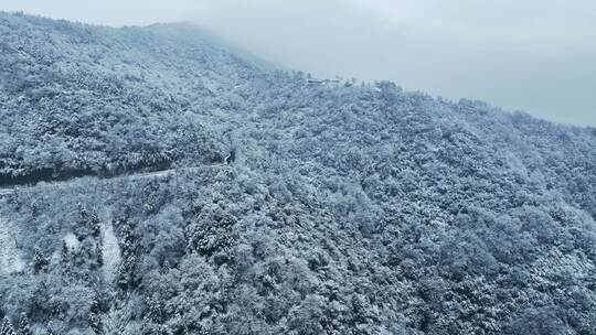 航拍林海雪原山林雾松