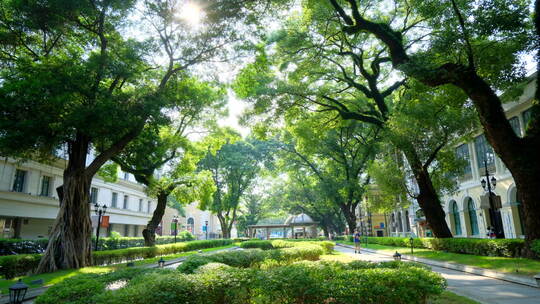 广州老街沙面大街历史景观欧式建筑