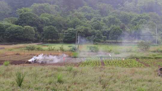 田间农民焚烧秸秆场景