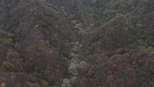 航拍秦岭山脉秋季风景云海