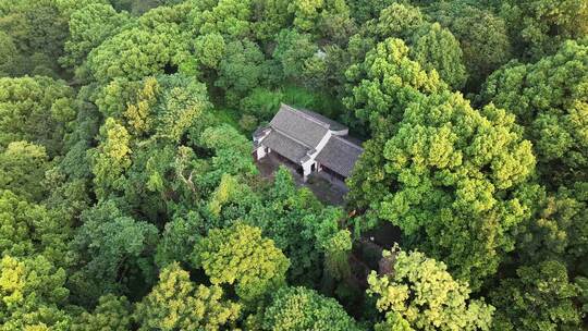 龙泉寺 龙山公园 阳明公园