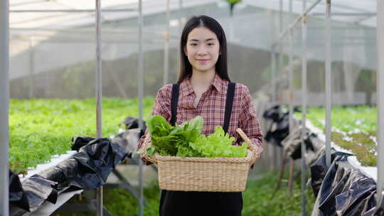 女孩女性蔬菜种植农业绿色植物