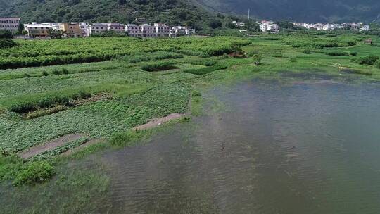 福建 莆田 城厢 常太 岭下 美丽乡村 水库